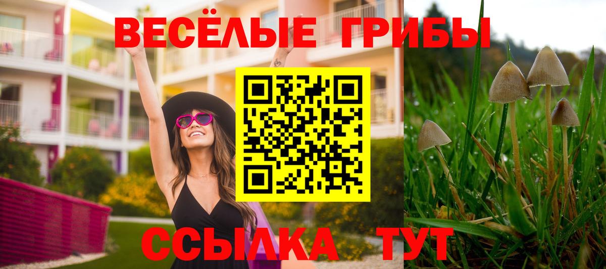Псилоцибиновые грибы Cubensis  Вход с VPN  Псилоцибиновые грибы мицелий  Королёв 