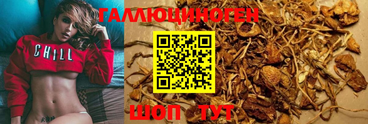 Псилоцибиновые грибы мухоморы Королёв